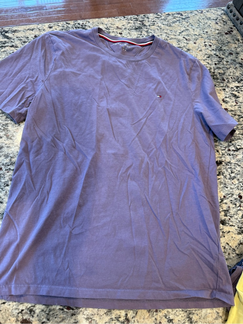 Tommy Hilfiger Men’s Lilac Crewneck T-Shirt